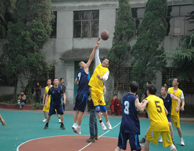 公司组织的篮球比赛